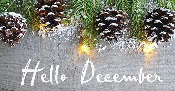 Happy Holidays and Thank you
