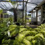 aotea community nursery
