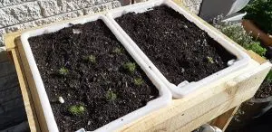 big little garden frame 8
