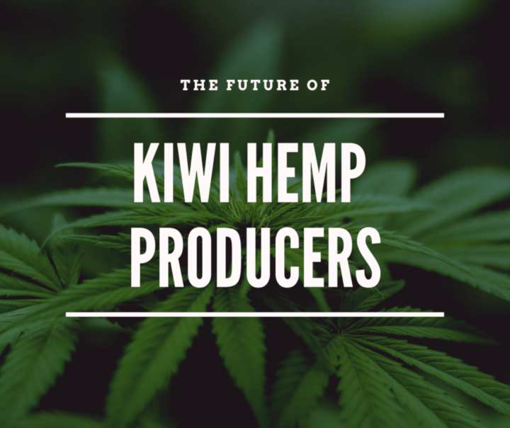 Kiwi Hemp Producers 1