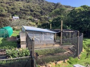 aotea community native plant nursery