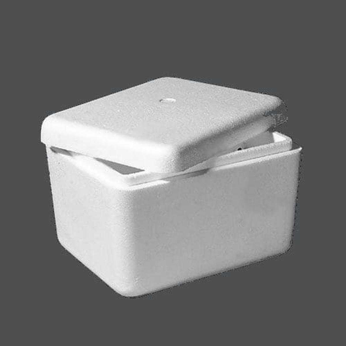 Polystyrene Chilly Bin 10 Litre Midi Bin (No Handle) IFP Group