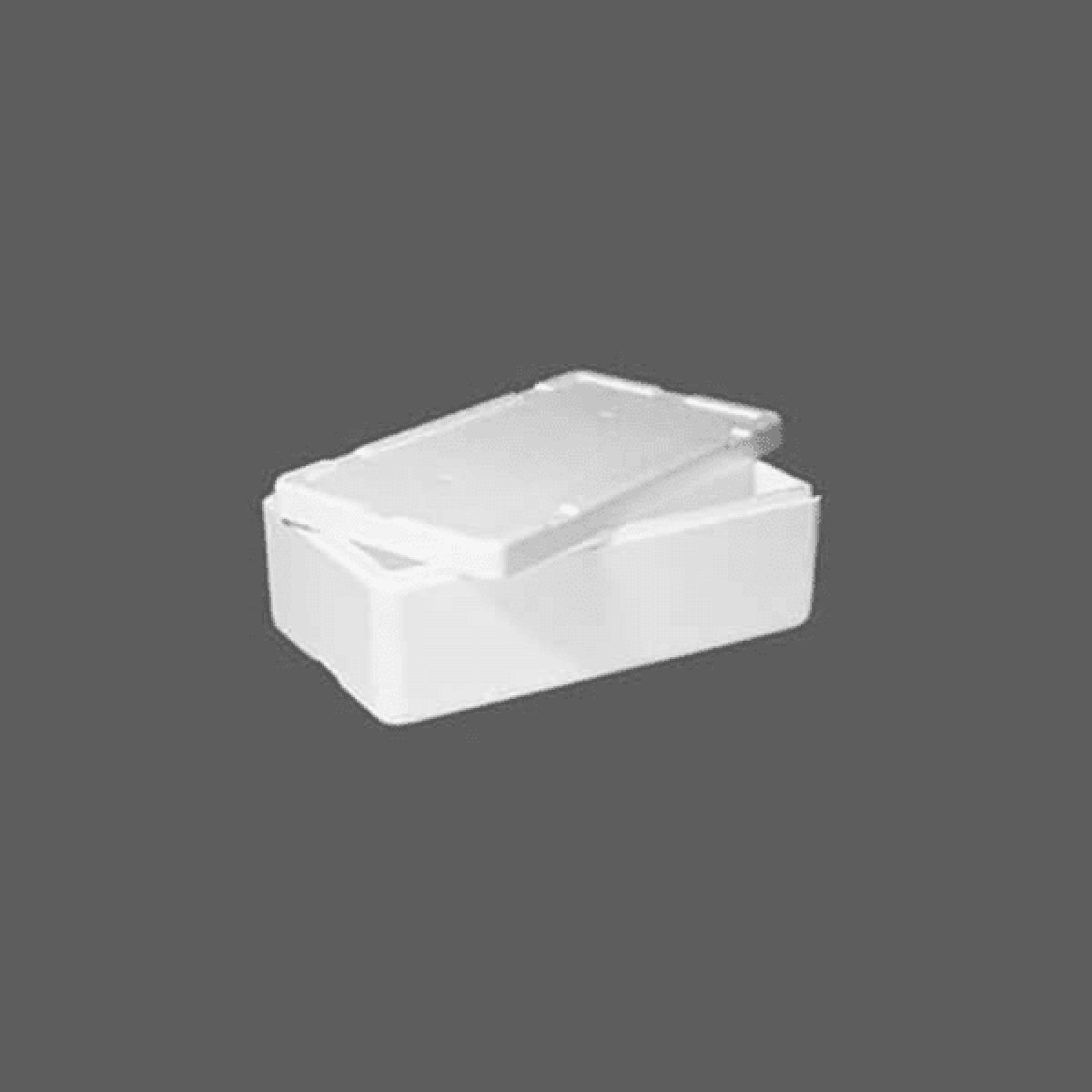 Polystyrene Chilly Bin 28 Litre Standard Box IFP Group